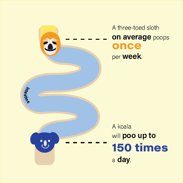 Fact visualisation — first draft